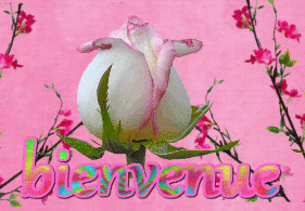 Gif animé bienvenue rose blanche